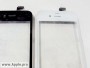 iPhone 4G будет в белом и черном корпусе.