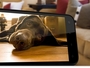 Прибыль HTC утроилась