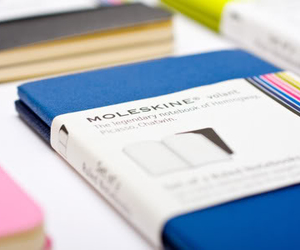 Moleskine на iPad