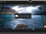 Android Ice Cream Sandwich выйдет в октябре, обновления - в ноябре