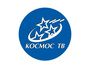 "Космос-ТВ" пожаловался на помехи от будущих сетей LTE